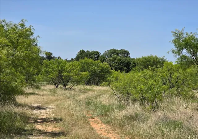 Homes for sale in Rising Star, TX | 1000 County Road 375, Rising Star, TX 76471 | MLS# 21201769