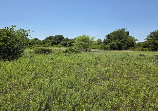 Homes for sale in Rising Star, TX | 1000 County Road 375, Rising Star, TX 76471 | MLS# 21201769