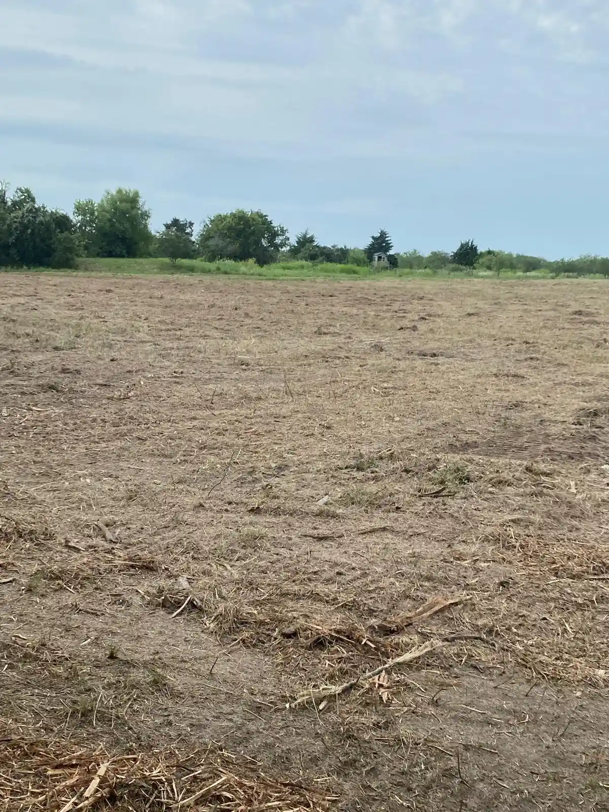 Photo 1 of Land for sale at 320 Birdwell Rd, Corsicana, TX 75110 | MLS# 21202927 | Listing updated on 2026-03-09