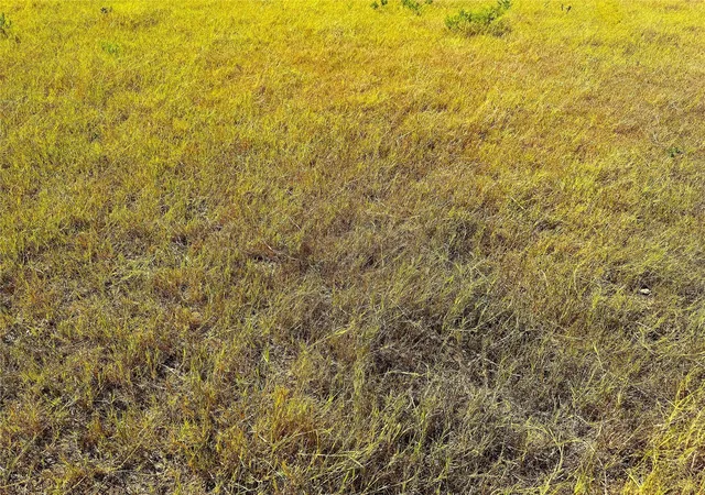 Photo 4 of Land for sale at Tbd Tract 1 Hayes Rd, Mineral Wells, TX 76067 | MLS# 21203504 | Listing updated on 2026-09-03