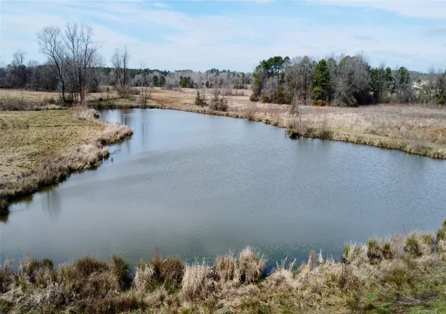 Homes for sale in Linden, TX | Tbd Cr 1460, Linden, TX 75563 | MLS# 21203959