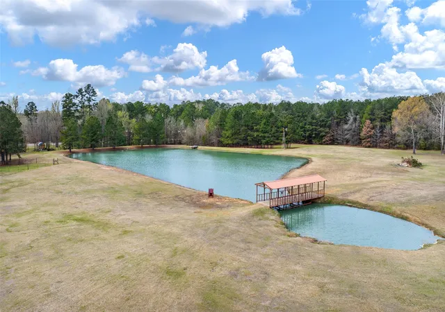 Homes for sale in Bagwell, TX | 2964 Fm 2120, Bagwell, TX 75412 | MLS# 21203102