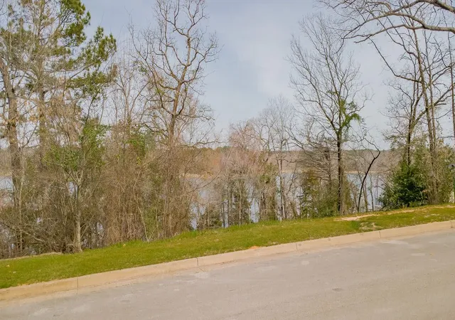 Homes for sale in Tyler, TX | 4463 Cascades Shoreline Dr, Tyler, TX 75709 | MLS# 21204269