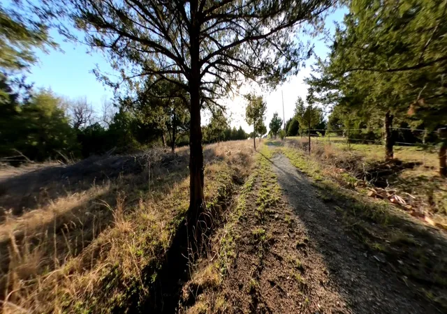 Photo 3 of Land for sale at 11193 Cr 496, Princeton, TX 75407 | MLS# 21204371 | Listing updated on 2026-07-17