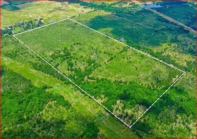 Photo 1 of Land for sale at 837 Fcr 995, Wortham, TX 76693 | MLS# 21202564 | Listing updated on 2026-08-11
