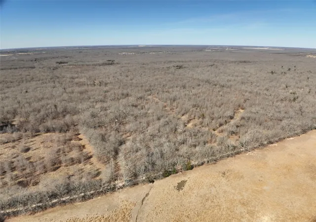Homes for sale in Detroit, TX | Tbd County Road 1249, Detroit, TX 75436 | MLS# 21189380