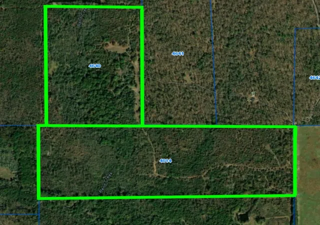 Homes for sale in Detroit, TX | Tbd County Road 1249, Detroit, TX 75436 | MLS# 21189380
