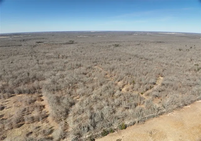 Homes for sale in Detroit, TX | Tbd County Road 1249, Detroit, TX 75436 | MLS# 21189380