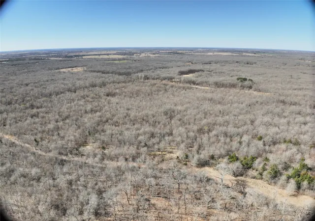 Homes for sale in Detroit, TX | Tbd County Road 1249, Detroit, TX 75436 | MLS# 21189380