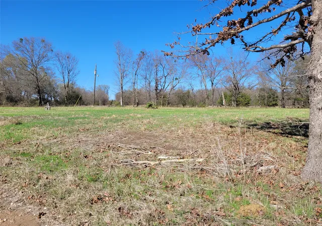 Homes for sale in Detroit, TX | Tbd County Road 2140, Detroit, TX 75436 | MLS# 21204628