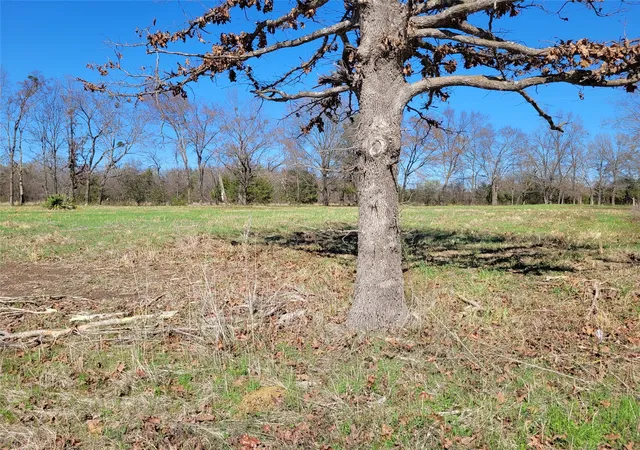 Homes for sale in Detroit, TX | Tbd County Road 2140, Detroit, TX 75436 | MLS# 21204628