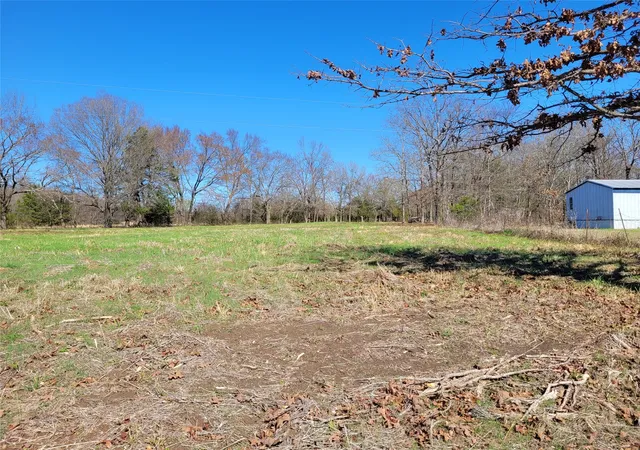 Homes for sale in Detroit, TX | Tbd County Road 2140, Detroit, TX 75436 | MLS# 21204628