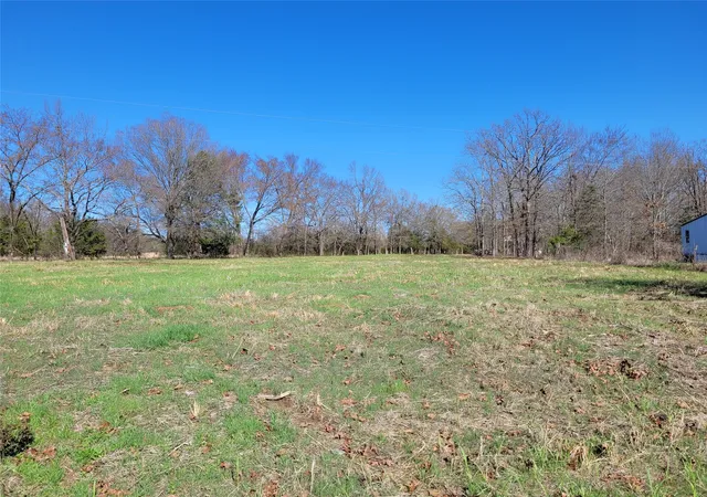 Homes for sale in Detroit, TX | Tbd County Road 2140, Detroit, TX 75436 | MLS# 21204628