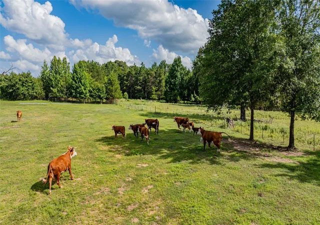 Homes for sale in Mt Pleasant, TX | 7635 N Us Hwy 271, Mt Pleasant, TX 75455 | MLS# 21202550
