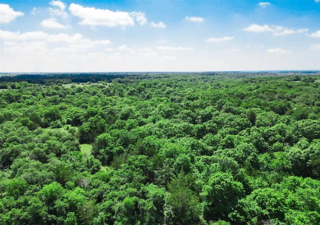 Homes for sale in Forestburg, TX | Tbd Merritt Rd, Forestburg, TX 76239 | MLS# 21204755