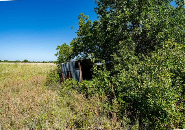 Homes for sale in Rising Star, TX | 9999 Cr 240, Rising Star, TX 76471 | MLS# 21204946