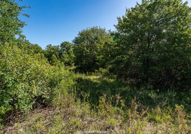 Homes for sale in Rising Star, TX | 9999 Cr 240, Rising Star, TX 76471 | MLS# 21204946
