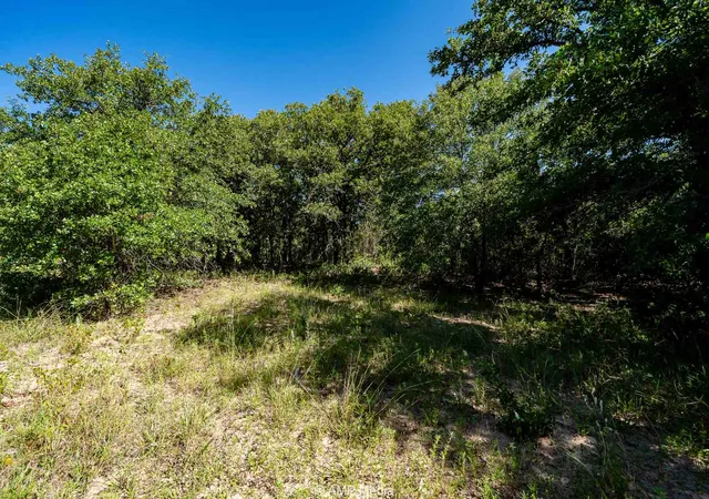 Homes for sale in Rising Star, TX | 0000 Cr 240, Rising Star, TX 76471 | MLS# 21204963