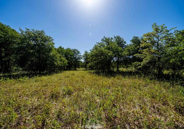Homes for sale in Rising Star, TX | 0000 Cr 240, Rising Star, TX 76471 | MLS# 21204963