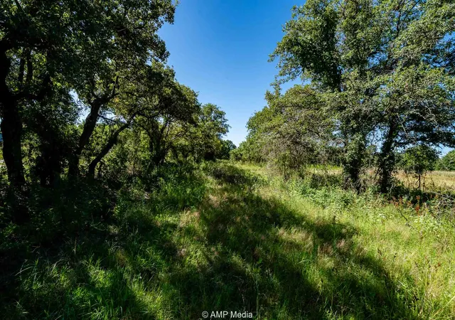 Homes for sale in Rising Star, TX | 0000 Cr 240, Rising Star, TX 76471 | MLS# 21204963