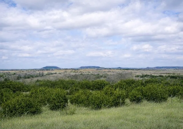 Homes for sale in Jonesboro, TX | Tbd County Road 224, Jonesboro, TX 76538 | MLS# 21205167