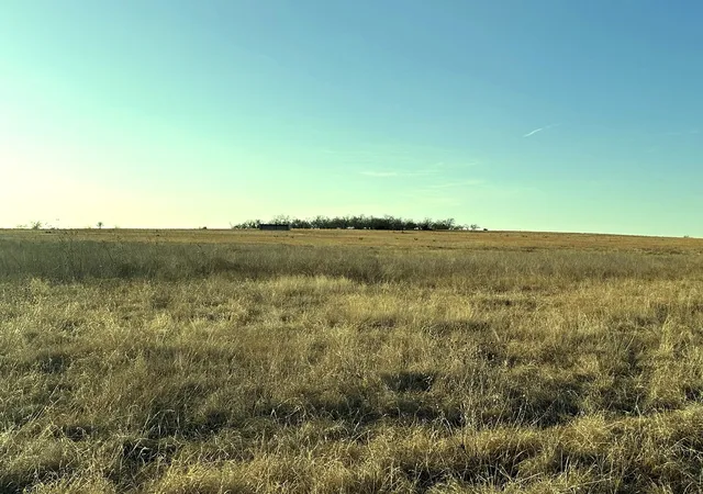 Homes for sale in Jonesboro, TX | Tbd County Road 224, Jonesboro, TX 76538 | MLS# 21205167