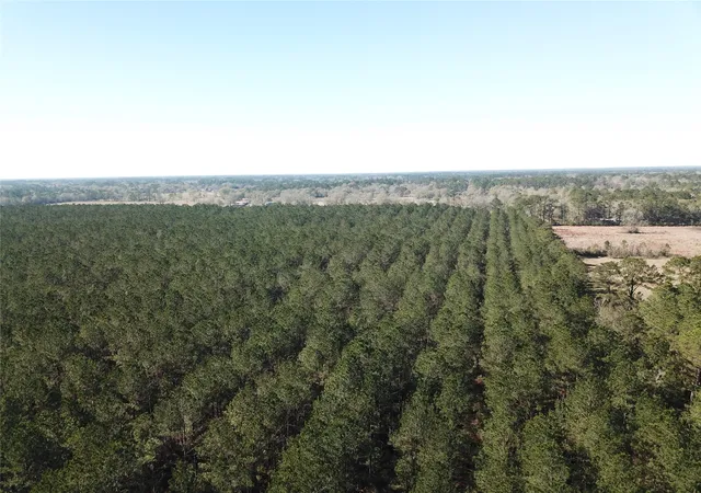 Photo 1 of Land for sale at 00 Corrigan Road, Vidor, TX 77662 | MLS# 21205311 | Listing updated on 2026-07-13