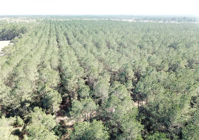 Photo 2 of Land for sale at 00 Corrigan Road, Vidor, TX 77662 | MLS# 21205311 | Listing updated on 2026-07-13