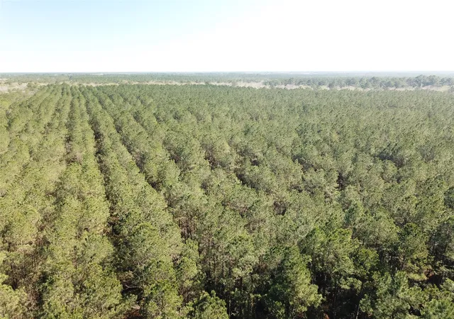 Photo 3 of Land for sale at 00 Corrigan Road, Vidor, TX 77662 | MLS# 21205311 | Listing updated on 2026-07-13