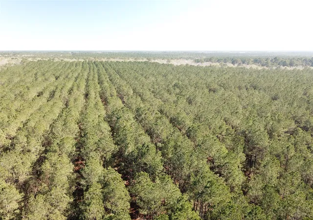 Photo 3 of Land for sale at 00 Corrigan Road, Vidor, TX 77662 | MLS# 21205311 | Listing updated on 2026-07-13
