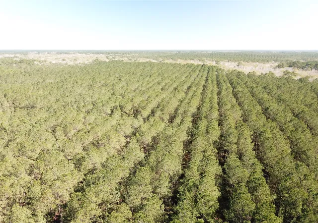 Photo 4 of Land for sale at 00 Corrigan Road, Vidor, TX 77662 | MLS# 21205311 | Listing updated on 2026-07-13