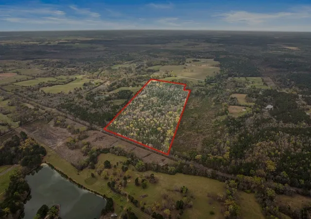 Homes for sale in Daingerfield, TX | Cr1124 Old Hwy 11 Rd, Daingerfield, TX 75638 | MLS# 21205433