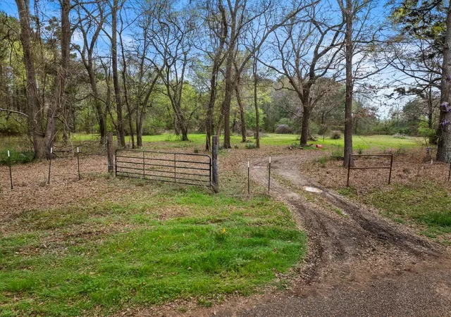 Photo 1 of Land for sale at Cr1124 Old Hwy 11 Rd, Daingerfield, TX 75638 | MLS# 21205433 | Listing updated on 2026-07-13