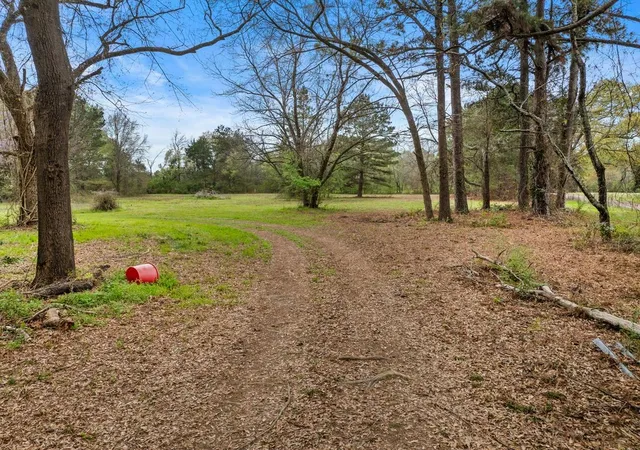 Photo 2 of Land for sale at Cr1124 Old Hwy 11 Rd, Daingerfield, TX 75638 | MLS# 21205433 | Listing updated on 2026-07-13