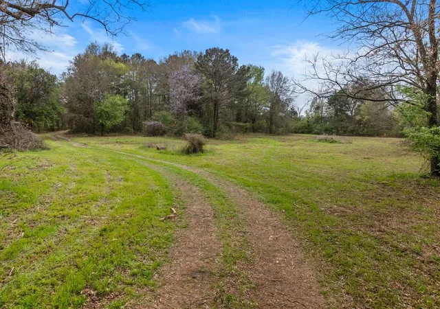 Photo 3 of Land for sale at Cr1124 Old Hwy 11 Rd, Daingerfield, TX 75638 | MLS# 21205433 | Listing updated on 2026-07-13