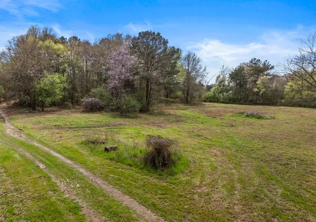Homes for sale in Daingerfield, TX | Cr1124 Old Hwy 11 Rd, Daingerfield, TX 75638 | MLS# 21205433