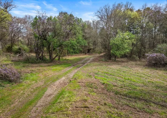 Homes for sale in Daingerfield, TX | Cr1124 Old Hwy 11 Rd, Daingerfield, TX 75638 | MLS# 21205433