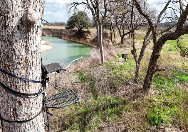 Photo 3 of Land for sale at 220 County Road 3310, Valley Mills, TX 76689 | MLS# 21206704 | Listing updated on 2026-09-02