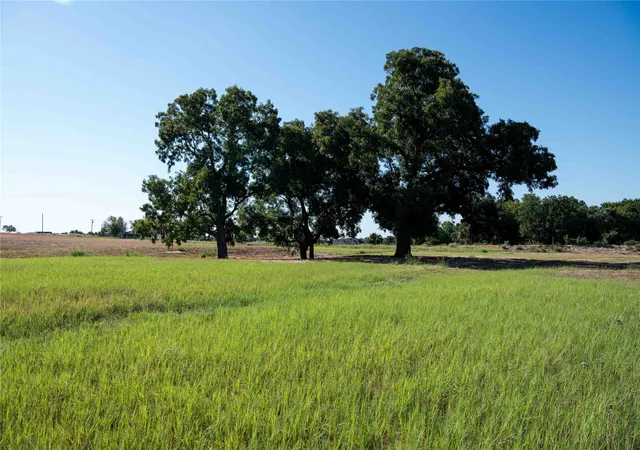 Homes for sale in Decatur, TX | 2160 County Road 4371, Decatur, TX 76234 | MLS# 21206766