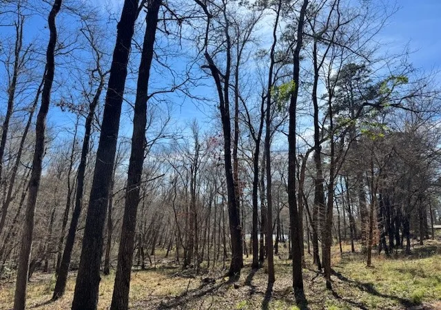Photo 1 of Land for sale at Tbd Anderson County Rd 319, Frankston, TX 75763 | MLS# 21207650 | Listing updated on 2026-07-17