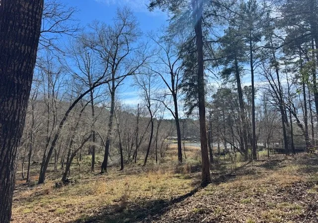 Photo 2 of Land for sale at Tbd Anderson County Rd 319, Frankston, TX 75763 | MLS# 21207650 | Listing updated on 2026-07-17