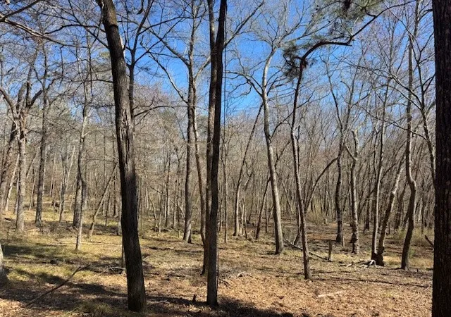 Photo 3 of Land for sale at Tbd Anderson County Rd 319, Frankston, TX 75763 | MLS# 21207650 | Listing updated on 2026-07-17