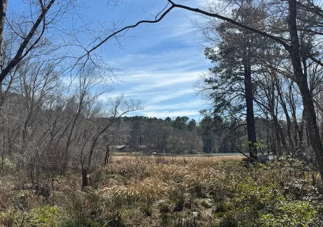 Photo 4 of Land for sale at Tbd Anderson County Rd 319, Frankston, TX 75763 | MLS# 21207650 | Listing updated on 2026-07-17