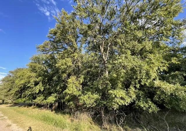 Photo 3 of Land for sale at 622 Cypress Dr, May, TX 76857 | MLS# 21208095 | Listing updated on 2026-07-10
