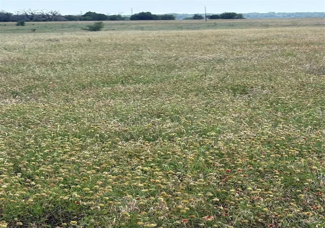 Photo 1 of Sale Pending at Tbd Lot 5 Cr 3565, China Spring, TX 76633 | MLS# 21208288 | Listing updated on 2026-07-23