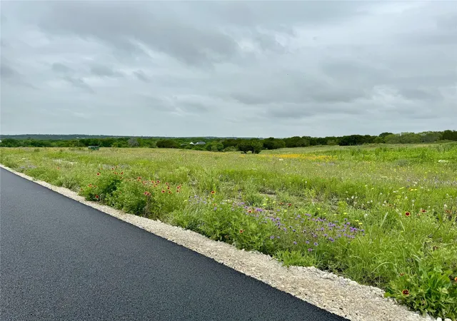 Homes for sale in Cresson, TX | 1006 Rana Dr, Cresson, TX 76035 | MLS# 21197464