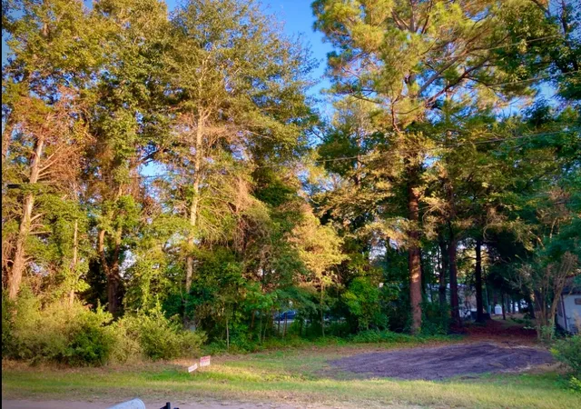 Photo 2 of Land for sale at 262 E Walnut Trl, Murchison, TX 75778 | MLS# 21208349 | Listing updated on 2026-08-25