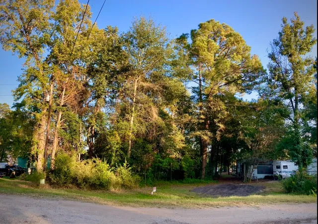 Photo 3 of Land for sale at 262 E Walnut Trl, Murchison, TX 75778 | MLS# 21208349 | Listing updated on 2026-08-25