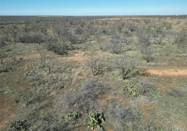 Photo 2 of Land for sale at Tbd Pr Off Of Cr 444, Merkel, TX 79536 | MLS# 21209117 | Listing updated on 2026-08-22
