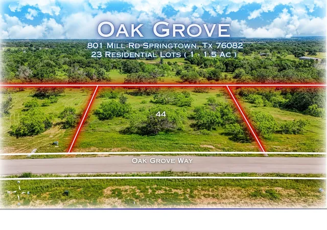 Homes for sale in Springtown, TX | 184 Oak Grove Wy, Springtown, TX 76082 | MLS# 21209765